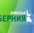 На заседании в брянском правительстве обсудили освещение улиц - Новый Путь