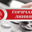 На Брянщине открылась горячая линия по вопросам поддержки предпринимателей - Новый Путь