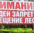 В лесах Брянской области введен особый противопожарный режим! - Рогнединский район