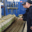 В КП-3 выпущено консервированной продукции почти на 27 миллионов рублей - Новый Путь