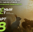Брянцев приглашают принять участие в экологическом тестировании «Зелёный Зачёт» - Новый Путь