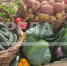 В Брянске на ярмарках выходного дня можно приобрести сельхозпродукцию по низким ценам - Новый Путь