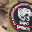 Добровольцы могут присоединиться к отряду «БАРС-Брянск» - Новый Путь
