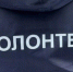 На Брянщине проходит набор волонтеров для голосования за объекты благоустройства - Новый Путь