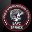 В отряд «БАРС-Брянск» требуются профессиональные повара и медики - Новый Путь