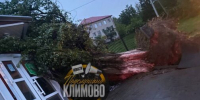 Глава Климовского района Исаев обратился к жителям из-за урагана - Новый Путь