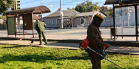 В Брянске трудовые коллективы вышли на субботники - Новый Путь