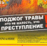 Профилактический месячник «Сухая трава» - Рогнединский район