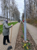 В Рогнединском районе прошел Всероссийский субботник
